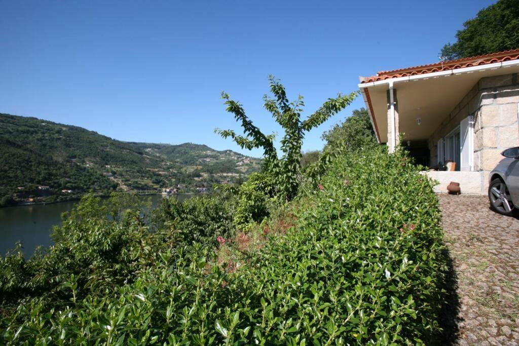 Douro Valley - Casa Do Campo Resende Covelas  المظهر الخارجي الصورة